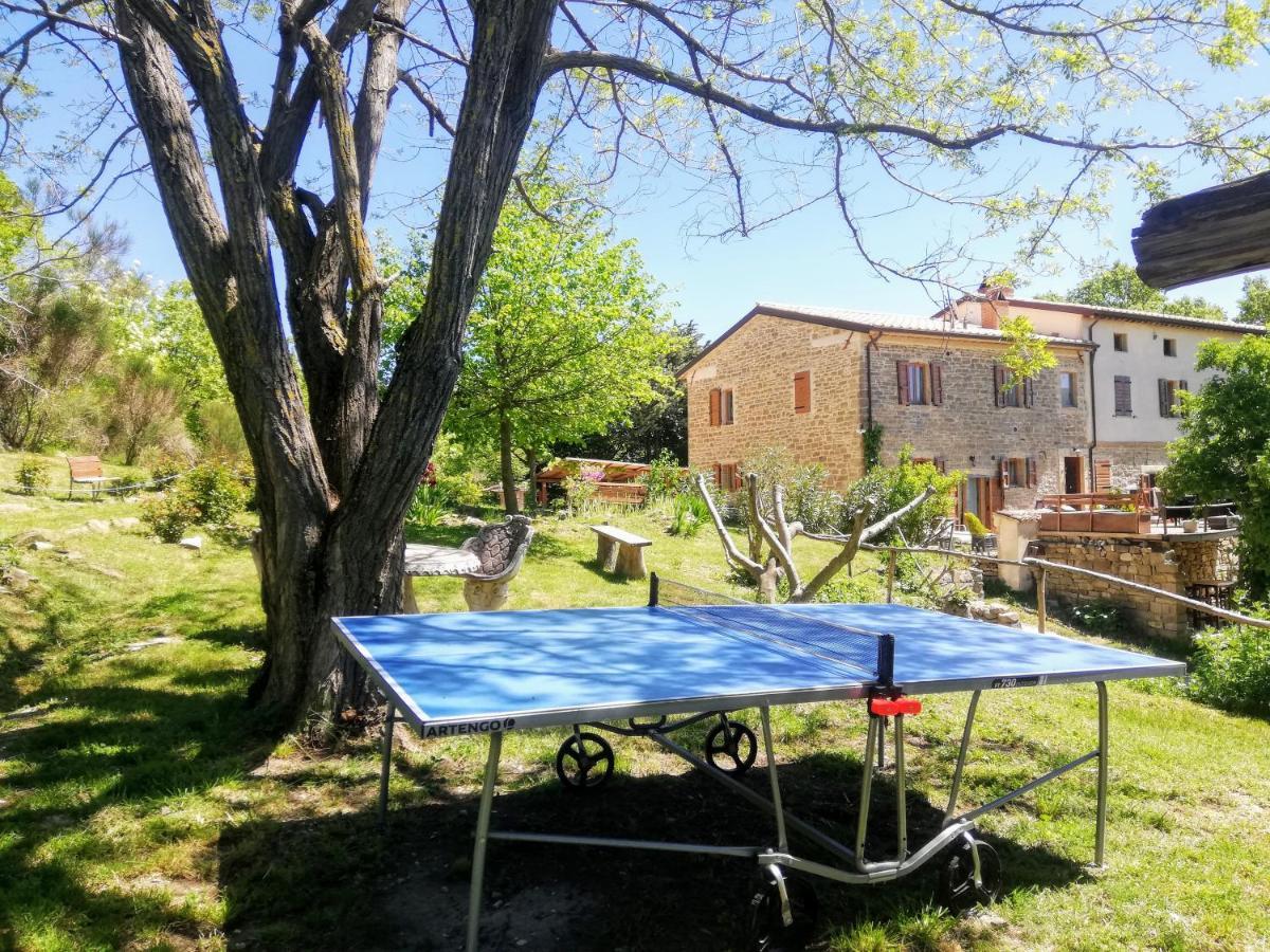 Le Ginestre Apartments 아시시 외부 사진